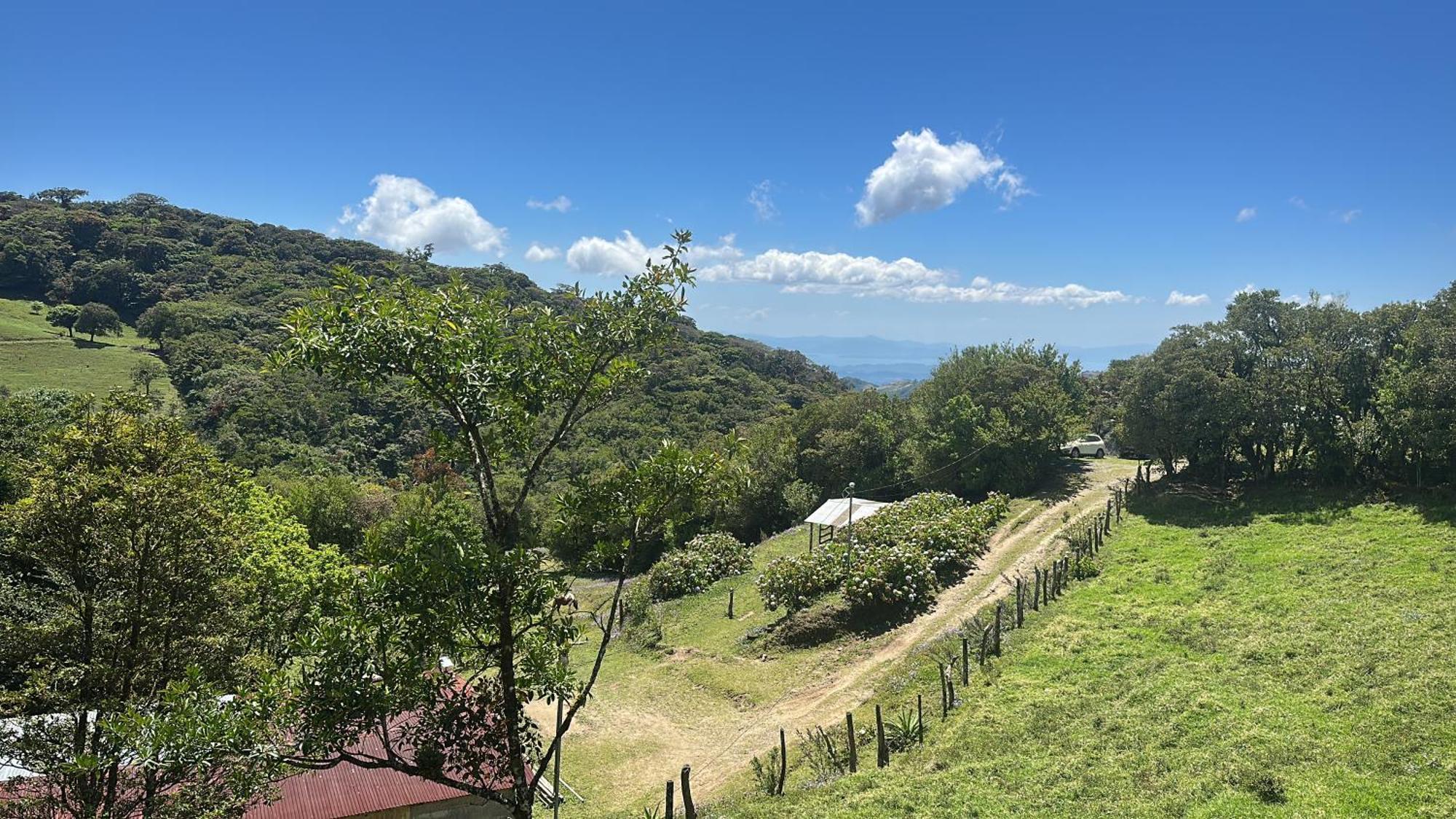 Dadirri House Minicasa Santa Elena モンテベルデ エクステリア 写真